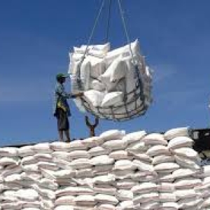 xuat-khau-gao-chung-lai-nhap-khau-tang-vot