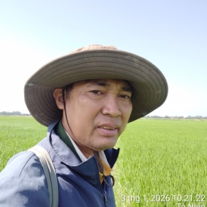 nguoi-nong-dan-chat-phac-tren-canh-dong-anh-muoi-va-cau-chuyen-hat-gao-your-rice