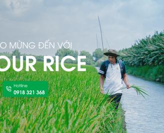 Vì sao người trẻ không muốn gắn bó nông nghiệp?